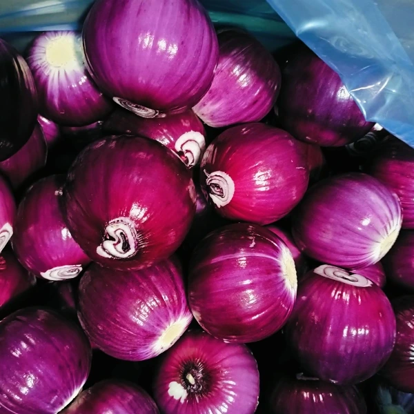 Huaang Food Processing guadagna a quota di mercatu cù una qualità stabile