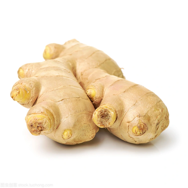 Perchè Premium Fresh Ginger hè a Scelta Preferita per i Cumpratori Cuscenti di Qualità?