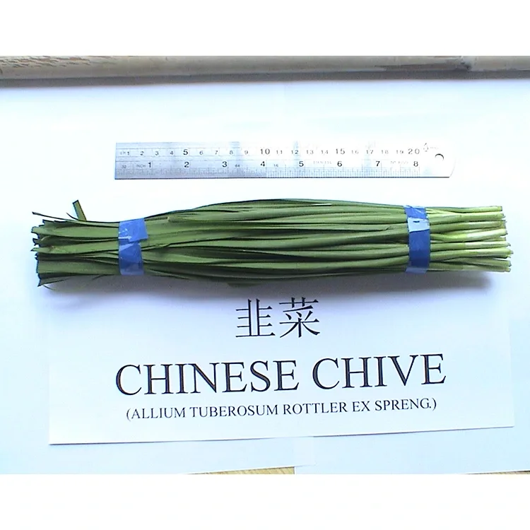 Perchè l'erba cipollina cinese fresca hè largamente usata in a cucina asiatica?