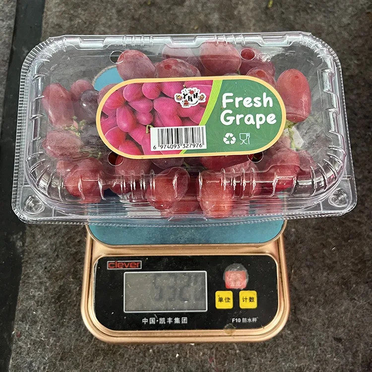 Uva Crimson Fresca Senza Semi di Qualità Export