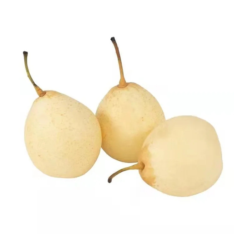 Ya Pear appena raccolte