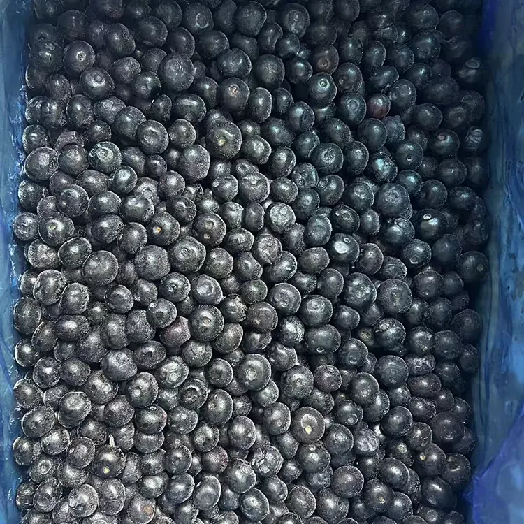 Mirtilli IQF Premium Frozen Blueberry