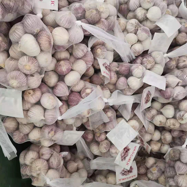 Agliu Unicu di Alta Qualità