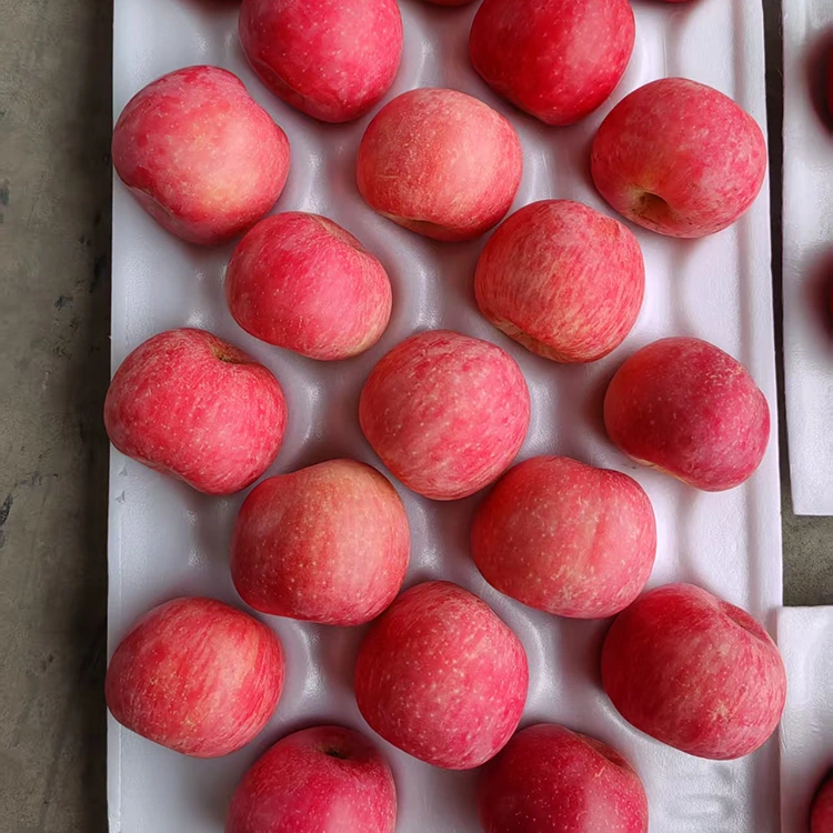 Mele Fuji fresche premium