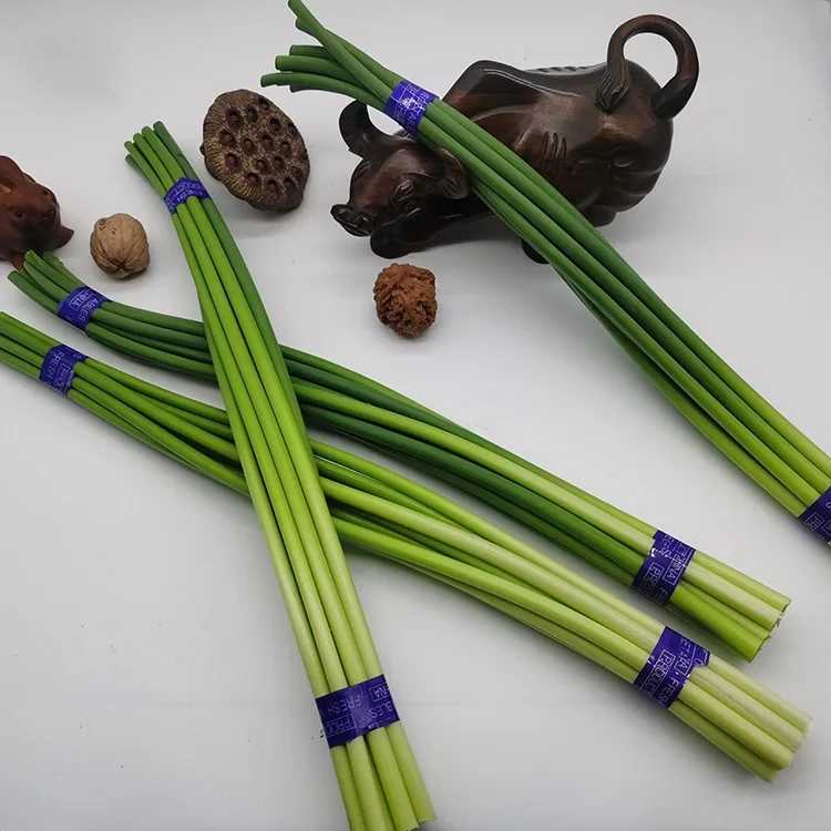 Scapes à l'agliu frescu premium
