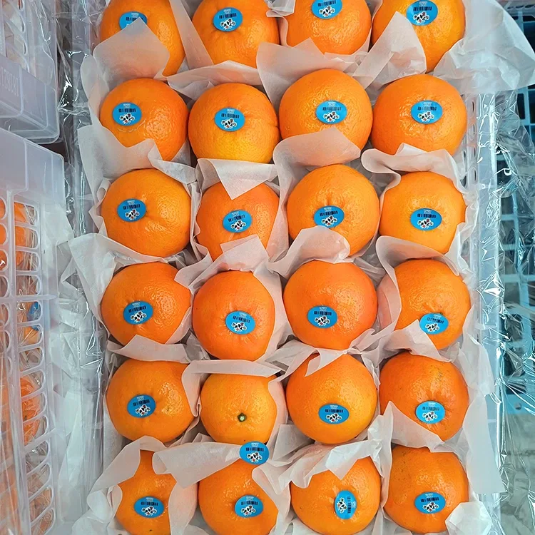 Mandarini Wogan Dolci Freschi Premium