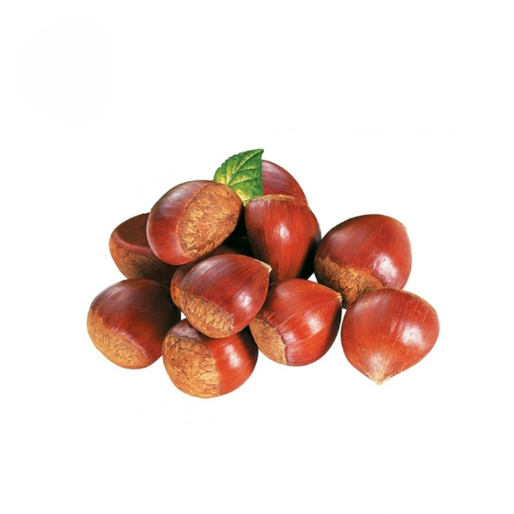 Castagne di qualità Premium