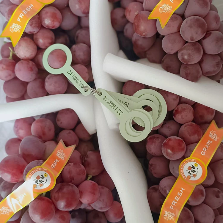 Uva Scelta di uva Rossa Rossa Fresca