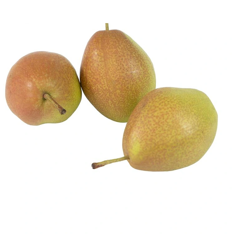 Pere fresche di Hongxiangsu di qualità superiore